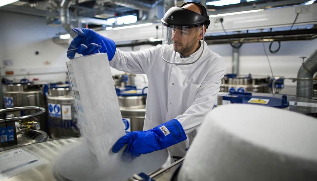 A researcher is working in a lab, wearing a face protector and blue gloves while working with frozen samples.